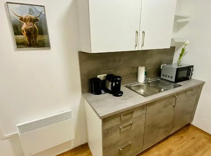 Rettenkogel Im Zentrum Von Apartament *